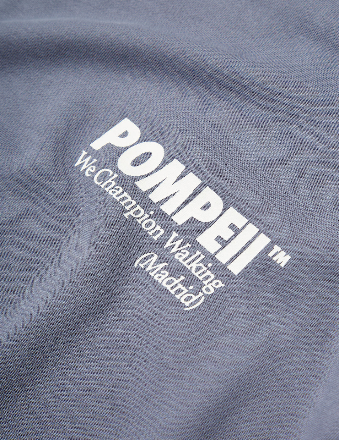 Sudadera Pompeii Steel Grey Sweat Logo Crewneck